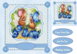 Bluebell Fun