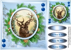 Beautiful Stag in a Christmas wreath