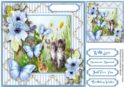 Kittys With the Butterflys 