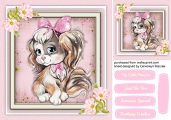 Cute little Princess Pooch