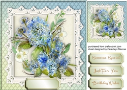Beautiful Hydrangers and Jasmin