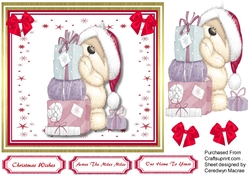 Teds Christmas Presents 