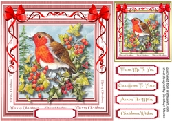 Beautiful Robin and Berrys