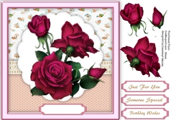 Beautiful Widows Roses