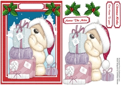 Teds Christmas Suprises