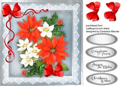 Beautiful Poinsettia and Christmas Roses