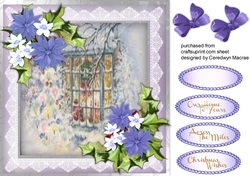 The Christmas Window