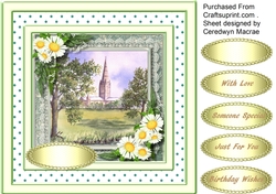 Beautiful Daisys and Catherdral scene