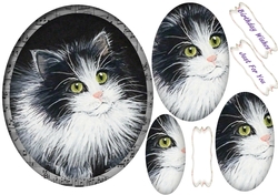 Beautiful Blackand White Kitten topper , Pyramid