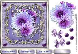 Beautiful Asters on a Ornate Mat