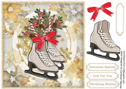 Beautiful Christmas Skates