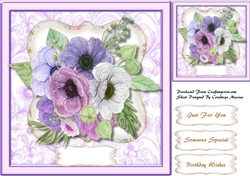 Beautiful Lilac Anemones