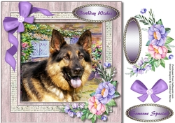 Beautiful Dog in the Garden 