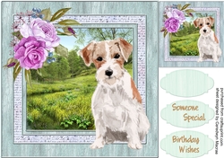 Wired Hair Jack Russell