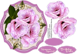 Beautiful Pink Flower and Babys Breath