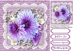 Beautiful Lilac Chrysanthemums on  lace 