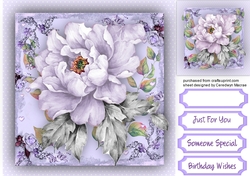 Beautiful Lilac Passion 