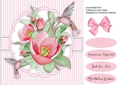 Beautiful Flowers and Humming Birds