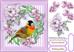 Stunning Mesia Bird 