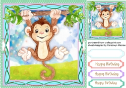 Cute Safari Monkey