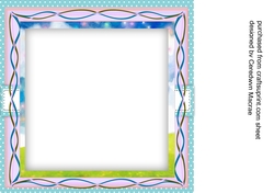 Blank Zebra Incert