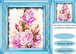Beautiful Roses on Aqua Frame