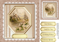 Beautiful Country Cottage and Daisys
