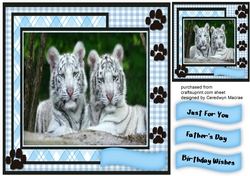 Beautiful White Tigers 