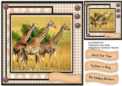 Giraffes on The Plains