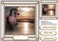 Horse at Sunset