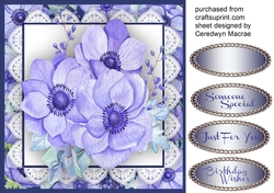 Beautiful Lilac Anemones on lace 