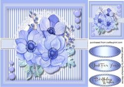 Midnight Blue Anemones