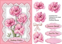 Pink Poppys on Lace