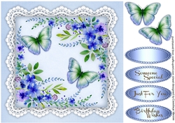 Beautiful Violets and Butterflys 
