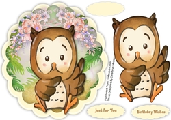 Cute Olly Owl