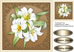 Stunning White Lillies