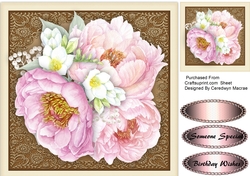 Beautiful Pink Peony Roses