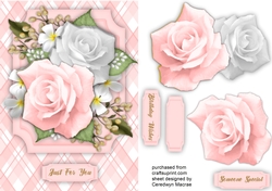 Soft Pink Roses and Babys Breath