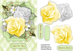 Yellow Roses and Babys Breath