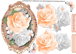 Beautiful Apricot Roses in a gold frame 