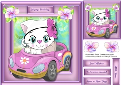 Love Me , Love My Car
