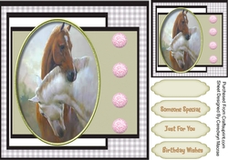 Beauiful Loving Horses