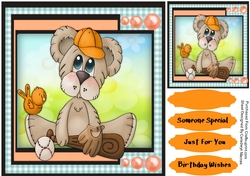 Baseball Bear In Orange Cap
