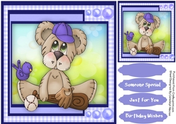 Baseball Bear In Blue Hat