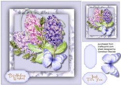 Beautiful Lilac and Butterfly