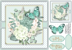 Beautiful Mistic Mint