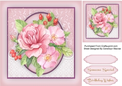 Stunning Wild Pink Roses