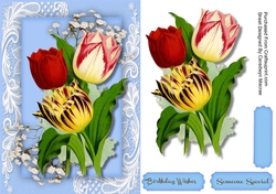Beautiful Tulips  on Corner Lace 