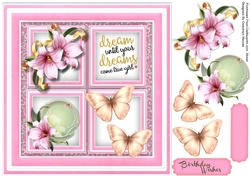 Dream Until Your dreams come True 