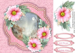 Pink Daisys in the Moonlight 